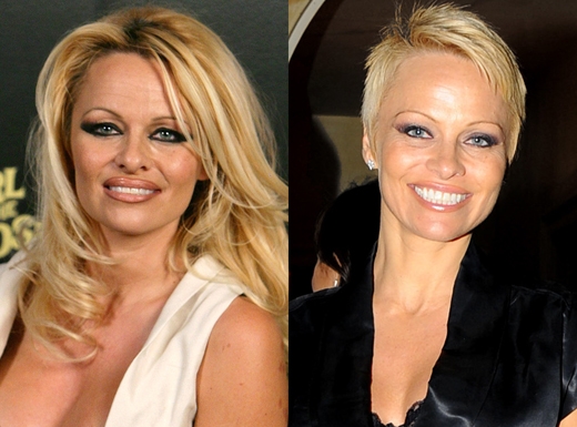 
	
	Pamela Anderson